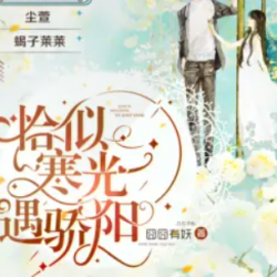 恰似寒光遇骄阳有声小说