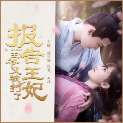 报告王妃:王爷又被打有声小说