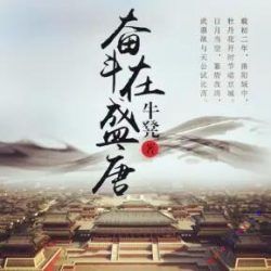 奋斗在盛唐有声小说
