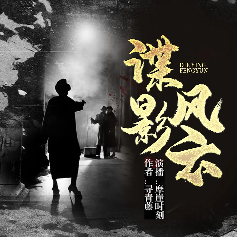 谍影风云有声小说